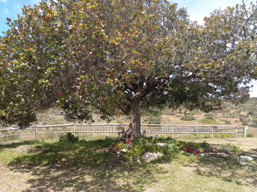3 Bedroom Property for Sale in Stilbaai Rural Western Cape